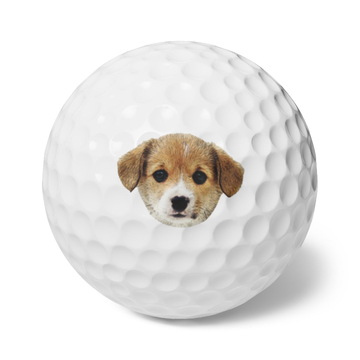 Don't hit the Puppy! Golf Balls, 6pcsBrainStorm Tees