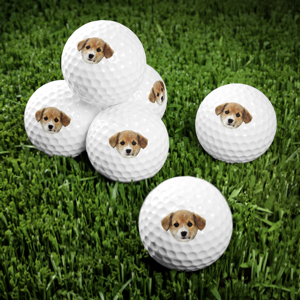 Don't hit the Puppy! Golf Balls, 6pcsBrainStorm Tees